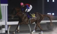 高知所属馬が韓国G3出走へ 地方競馬全国協会が発表