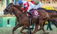 海外G1初挑戦の日本ダービー馬 威厳示し初制覇なるか