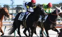 【チャーチルダウンズC予想】前走重賞組が強さを見せる！ 新馬や未勝利から参戦する馬の取り扱いには注意