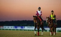 【ドバイWCデー見どころ】日本から6競走に計24頭が参戦 世界から強豪集う豪華決戦