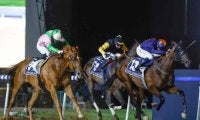 【ドバイGS結果】日本勢はクロジシジョーが4着 地元の伏兵ダークサフロンV