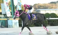【佐賀・ル・プランタン賞】オモチチャンが3馬身差完勝…最後まで粘り強い伸び脚を発揮