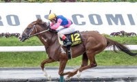 【先週のJRA抹消馬】ダートで長く活躍のメイショウテンスイ、芝・ダの短距離で計5勝のホープフルサインなど