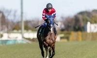 【阪神牝馬S想定騎手】ボンドガールは武豊騎手、スウィープフィートは横山典弘騎手