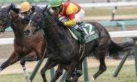 桜花賞で「母の父ガリレオ」のJRA・GI初制覇なるか フェアリーS圧勝の素質馬が挑む