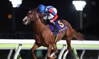 【ネクストスター東日本枠順】重賞馬プリムスパールスは2枠2番 3月19日に浦和で実施予定も中止→川崎で代替開催