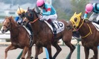 牝馬でGI・6勝の名伯楽 「ゆかりの血統」で桜花賞初制覇なるか