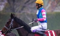 武豊騎手が21年ぶりの桜花賞6勝目へ 石橋守厩舎のウォーターガーベラと参戦