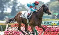 【桜花賞予想】妙味ある伏兵は見当たらず？ AI推奨馬のレースでの信頼度を分析