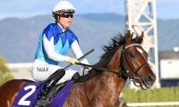 【ニュージーランドT出走馬・騎手確定】アドマイヤズーム＆川田将雅騎手、コートアリシアン＆菅原明良騎手など14頭