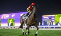 2025香港チャンピオンズデーの選出馬…リバティアイランドなど