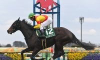 【競馬予想】桜花賞で頂点に立つ可能性が最も高いのは？　識者選定「３歳牝馬ランキング」