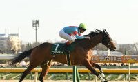 【競馬予想】桜花賞目前！　識者が有力視する「３歳牝馬ランキング」
