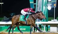 日本馬2頭がTOP3にランクイン ロンジンワールドベストレースホースランキングが発表