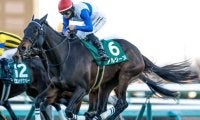 【阪神牝馬S予想】前走がローカル場所だった馬は苦戦傾向！ 中央場所でもコースによっては注意が必要