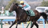 【アンタレスS想定馬・騎手】ヤマニンウルス、ミッキーファイトなど11頭