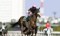 【阪神牝馬S予想】ヴィクトリアMへの最重要ステップ 春のマイル女王に向け名乗り上げる馬は？