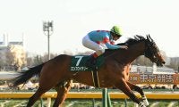 【競馬予想】桜花賞で注目すべき血統は？　牝系、種牡馬も珍しいほどレースに縁がある２頭に期待