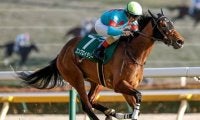 【桜花賞予想】チューリップ賞組と阪神JF組が中心!? 前走ステップレース快勝の人気馬に立ちはだかる消去法データとは
