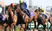 ロードカナロア産駒の良血馬が日曜阪神で初陣 “黄金タッグ”でデビューVなるか