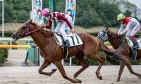 【佐賀競馬】ルーキー長谷川蓮騎手が初勝利
