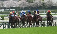 【阪神牝馬S】売上は43億6214万8300円で昨年より約9.5億円増加