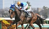 【福島牝馬S想定騎手】アドマイヤマツリは田辺裕信騎手、ホーエリートは原優介騎手