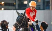 【先週のJRA抹消馬】牝馬ダート重賞3勝のアーテルアストレア、23年函館2歳S覇者ゼルトザームなど