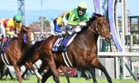 香港チャンピオンズデーの馬券発売が決定 JRAが発表