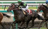 21年ぶりに1勝馬の皐月賞Vなるか 今年のエントリー馬を紹介