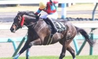 小牧加矢太騎手がJGI初制覇なるか 4連勝馬で中山GJ参戦