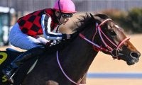  史上最高額のJRA・GI馬誕生なるか 矢作厩舎の3.2億円馬が皐月賞へ
