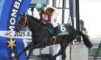 世代最初の2歳新馬戦開催 ダノンレジェンド産駒がレコードタイ記録で逃げ切り