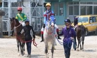 【園田・姫路競馬】ルーキー小谷哲平騎手が初勝利