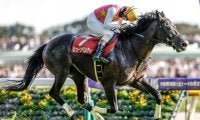 【中山GJ出走馬・騎手確定】ジューンベロシティ＆森一馬騎手、スマイルスルー＆高田潤騎手など12頭