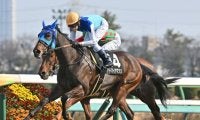 【福島牝馬S出走馬・騎手確定】アドマイヤマツリ＆田辺裕信騎手、ホーエリート＆原優介騎手など16頭
