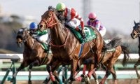 短距離重賞2勝のヴェントヴォーチェが登録抹消 今後は乗馬に