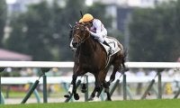GI・2勝の母を持つ良血馬 重賞5着と同舞台の自己条件で巻き返しへ