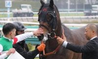 近親にBCクラシック覇者が2頭 名牝系出身馬が吹田特別で特別初V狙う
