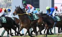 【マイラーズC想定馬・騎手】ロングラン、ジュンブロッサムなど8頭
