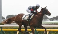 【競馬予想】皐月賞はクロワデュノールの一強ムードも......レースに縁がある血統を持つ２頭に激走の気配