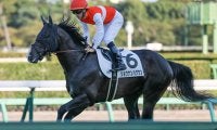 1.6億の良血馬 マジックマンを背に待望の2勝目となるか
