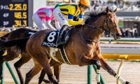 全姉はGI・2勝のソウルスターリング 良血馬がサンシャインSで4連勝狙う