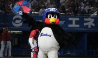 「よるのぱとろーる」目撃情報も…恒例の松山ヤクルト開催試合でつば九郎が残したもの