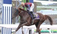 【韓国・YTN杯結果】高知のユメノホノオは3着 韓国最強馬グローバルヒットが完勝