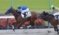 【中山6R】転厩初戦のナルカミが快勝で2勝目…新馬戦では大差圧勝
