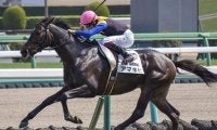 青葉賞にはGI馬の弟や仔が4頭出走 今年のメンバーは良血揃い
