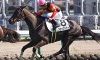 レース史上初の無敗戴冠なるか フローラSに2戦2勝のキズナ産駒が参戦