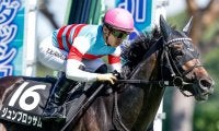 【マイラーズC展望】重賞勝ちの実績馬ジュンブロッサムが巻き返しを狙う
