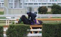 ジャスティンパレスなど、天皇賞(春)1週前追い切り速報/栗東トレセンニュース